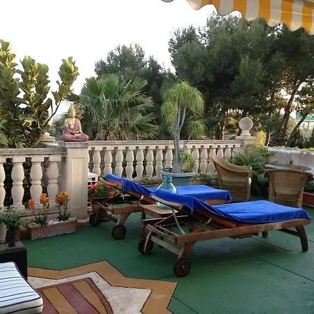 Rei Jaume Alicante
